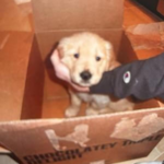 Surprise!