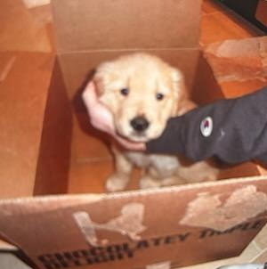 Surprise!