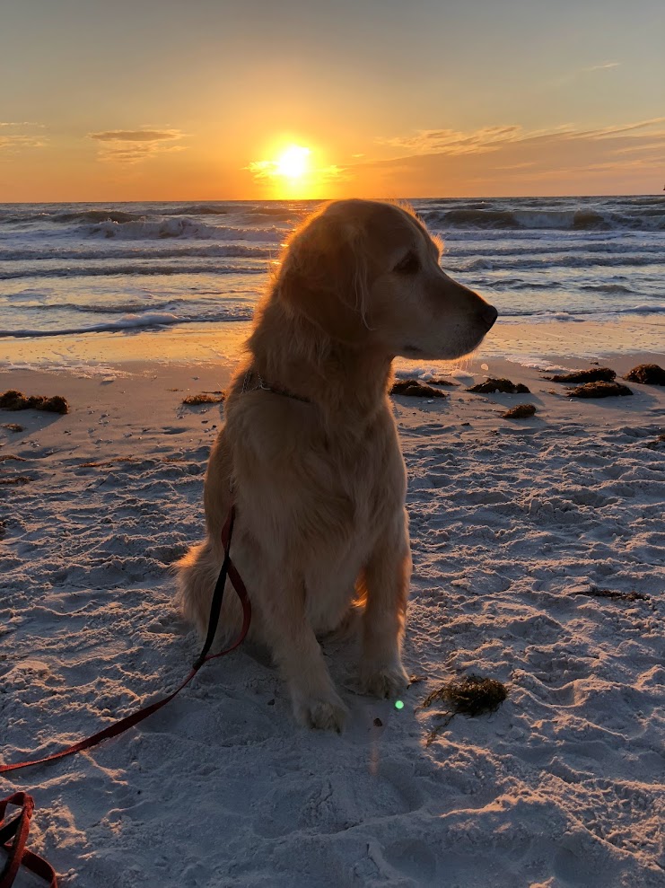 Jacoby goes to Florida