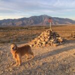 Jacoby in SoCal