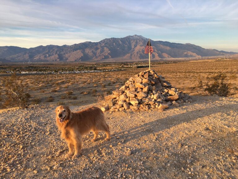 Jacoby in SoCal
