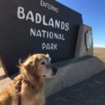 South Dakota Doggy