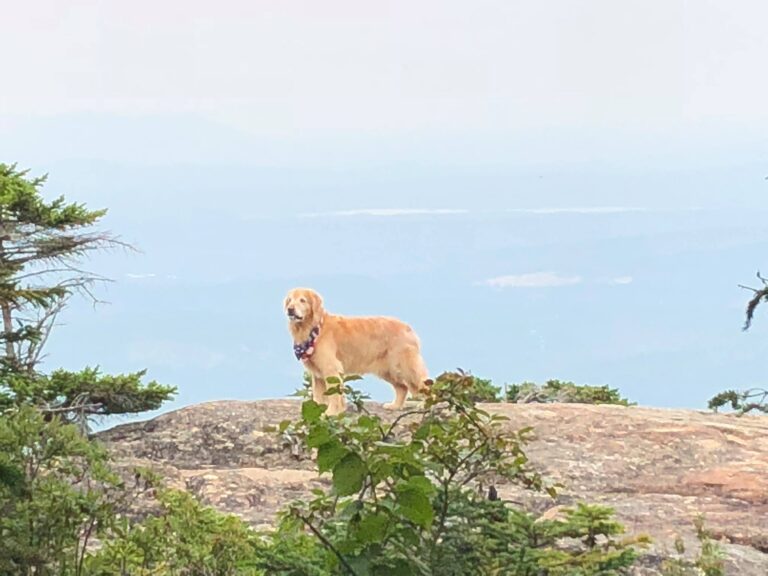 Jacoby Chocorua