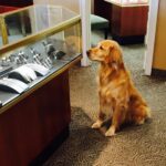 A Visit to the Jeweler