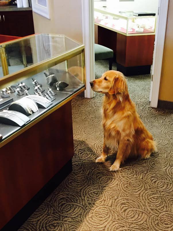A Visit to the Jeweler