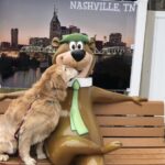 Jacoby in Tennessee