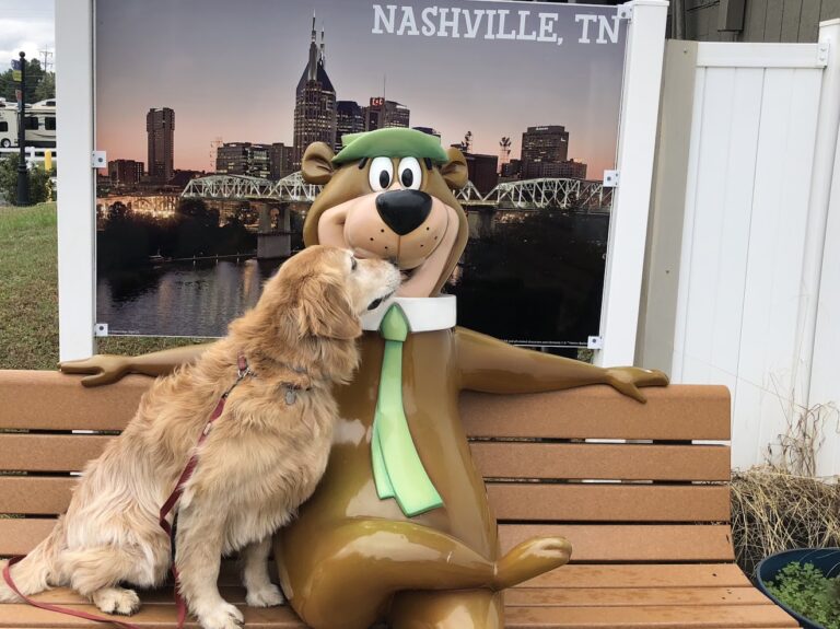 Jacoby in Tennessee