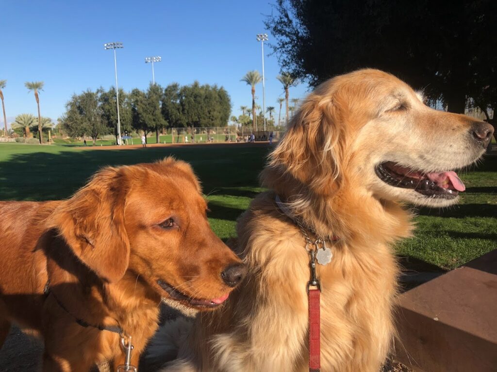 Jacoby Meets Honey!