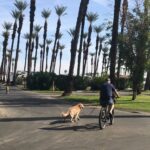 Jacoby (Re-) Visits Palm Springs