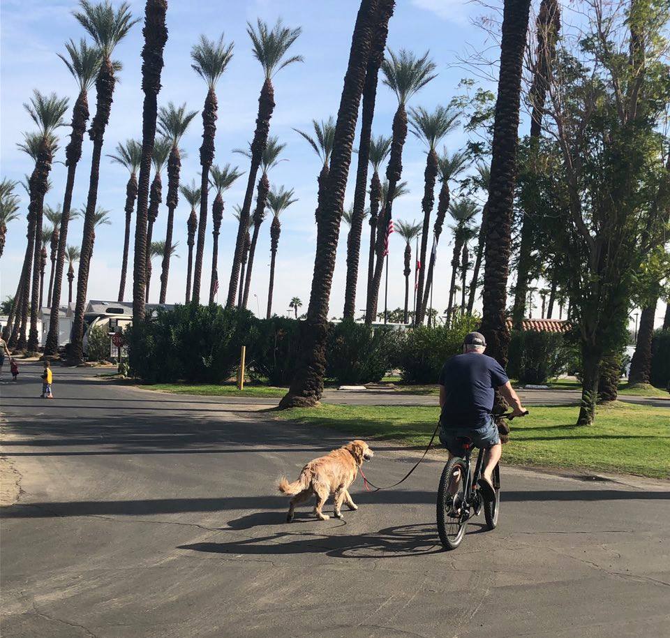 Jacoby (Re-) Visits Palm Springs
