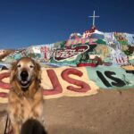Jacoby at the Salton Sea