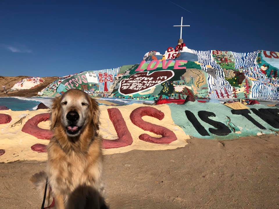 Jacoby at the Salton Sea