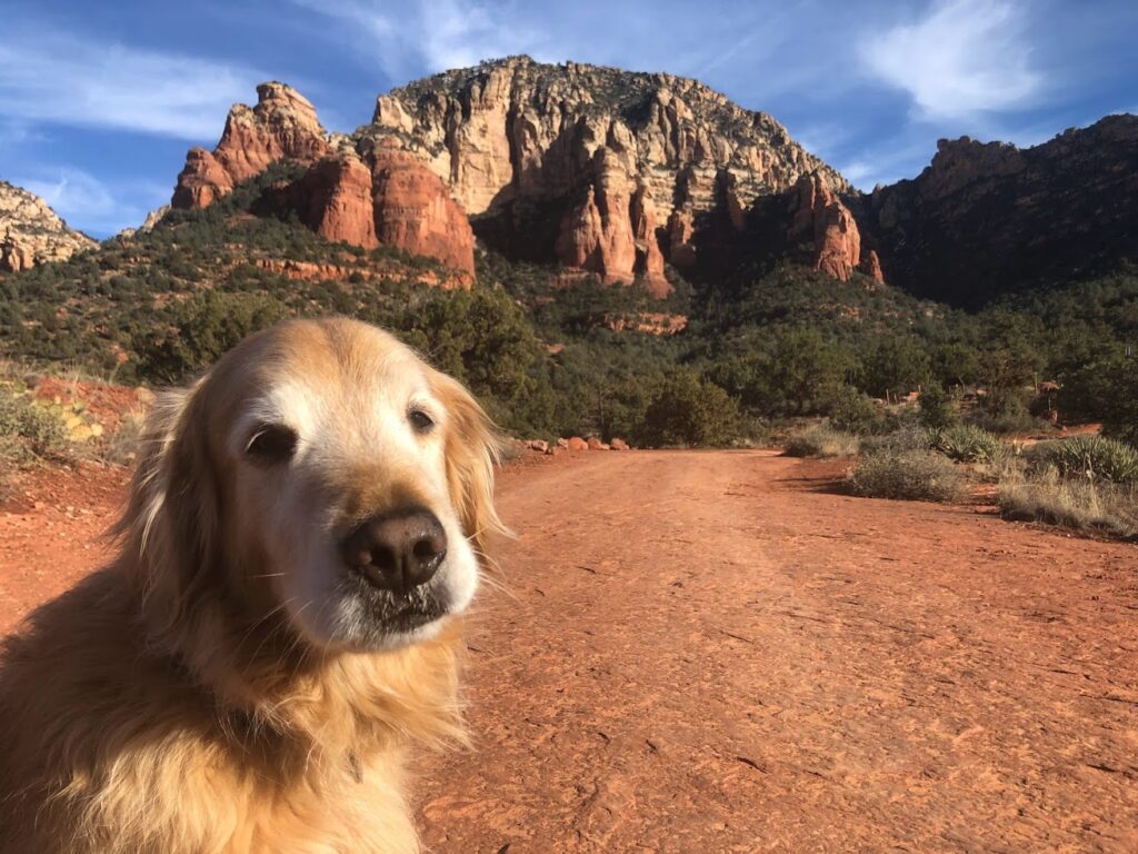 A New Year in Cottonwood