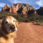 A New Year in Cottonwood