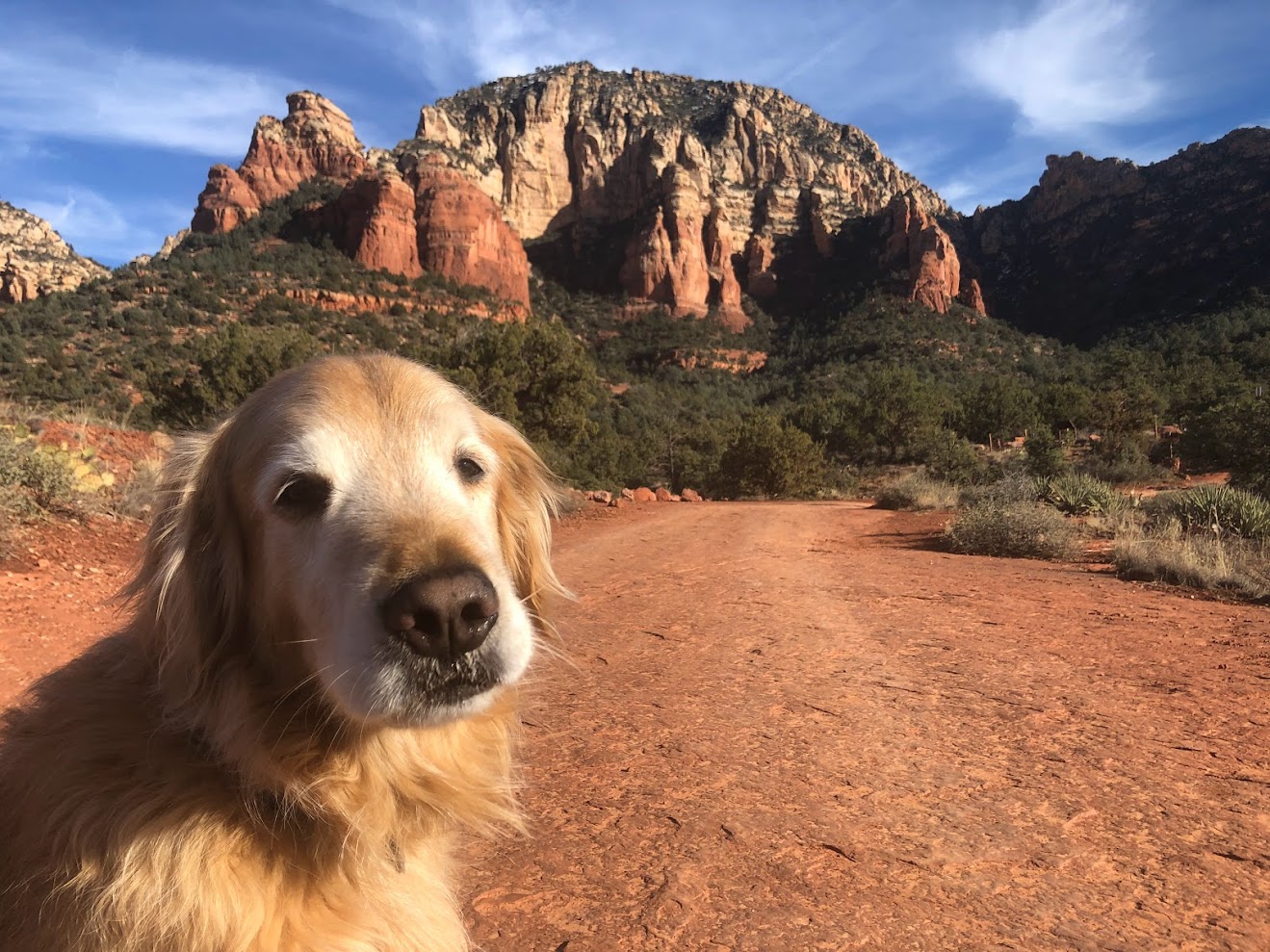 A New Year in Cottonwood