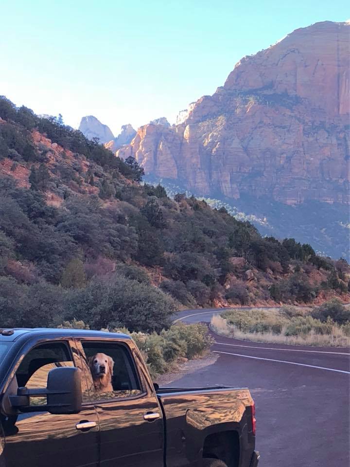 Jacoby’s Disappointing Zion Day