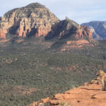 Sedona Dog