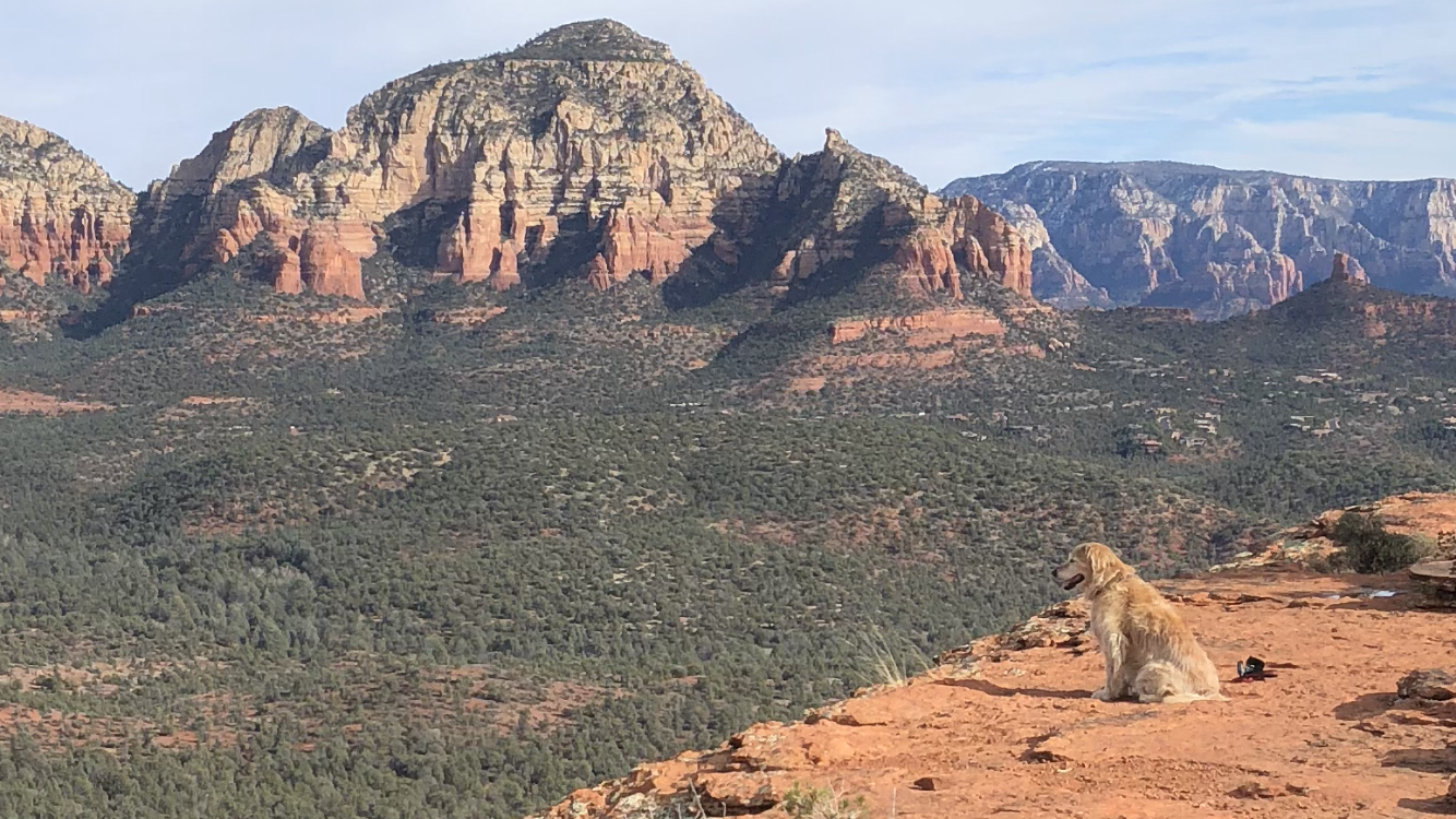 Sedona Dog