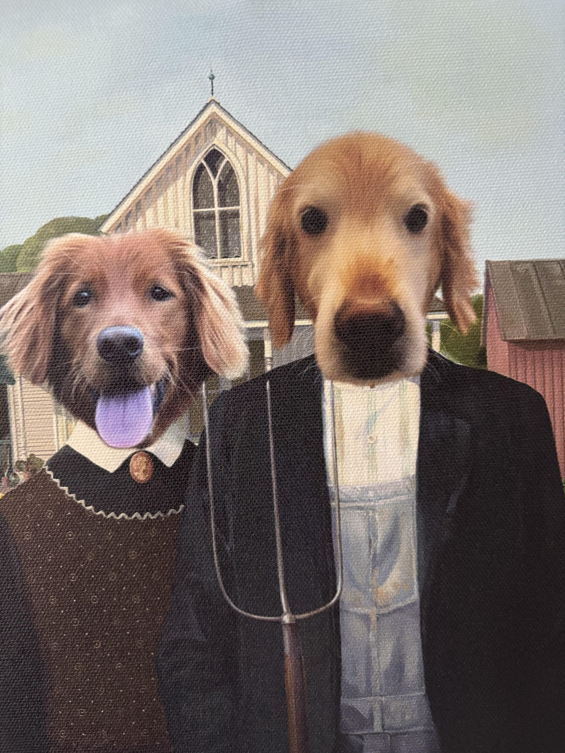 Jacoby and Honey