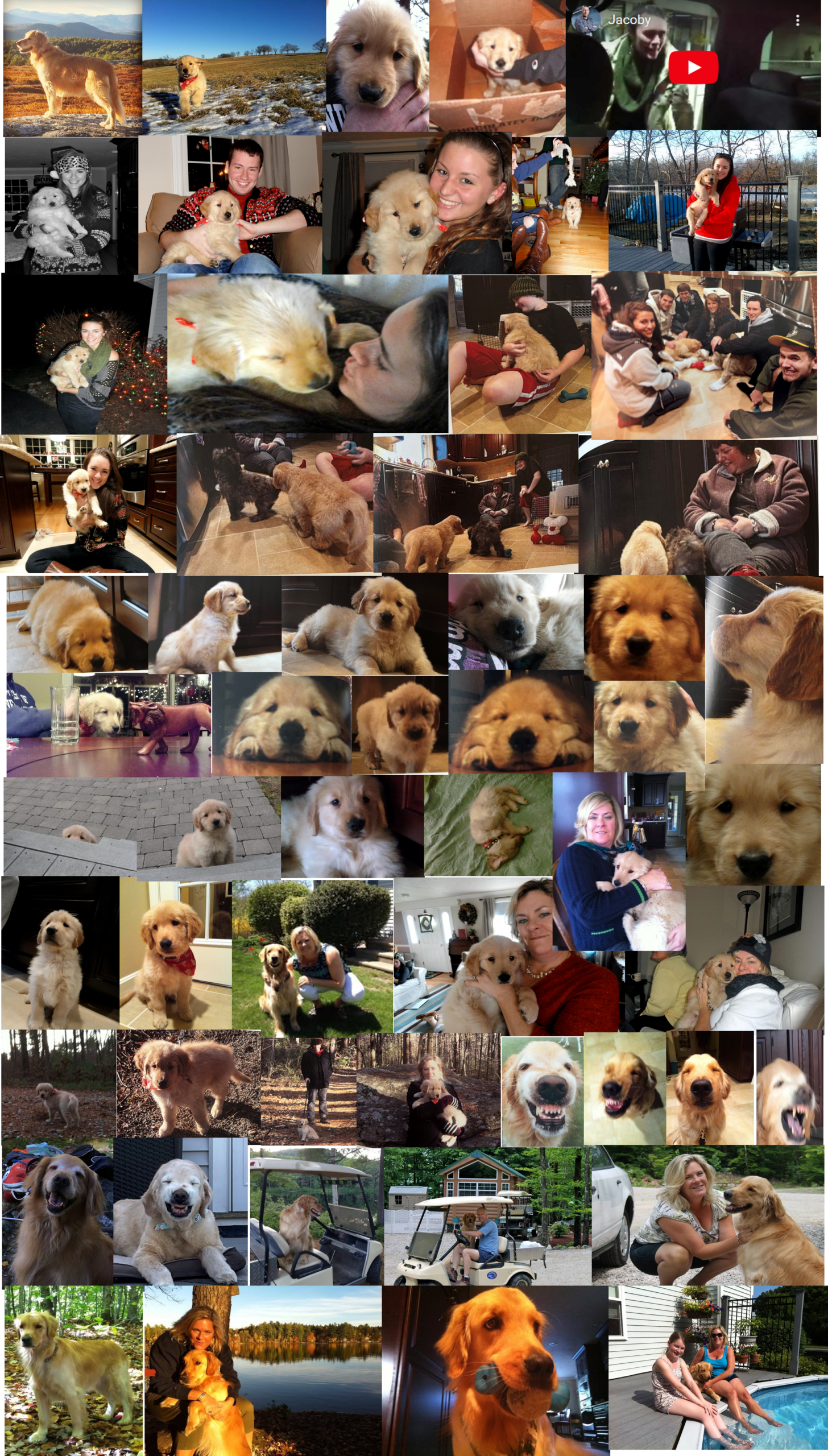 Jacoby’s Mosaic of Joy
