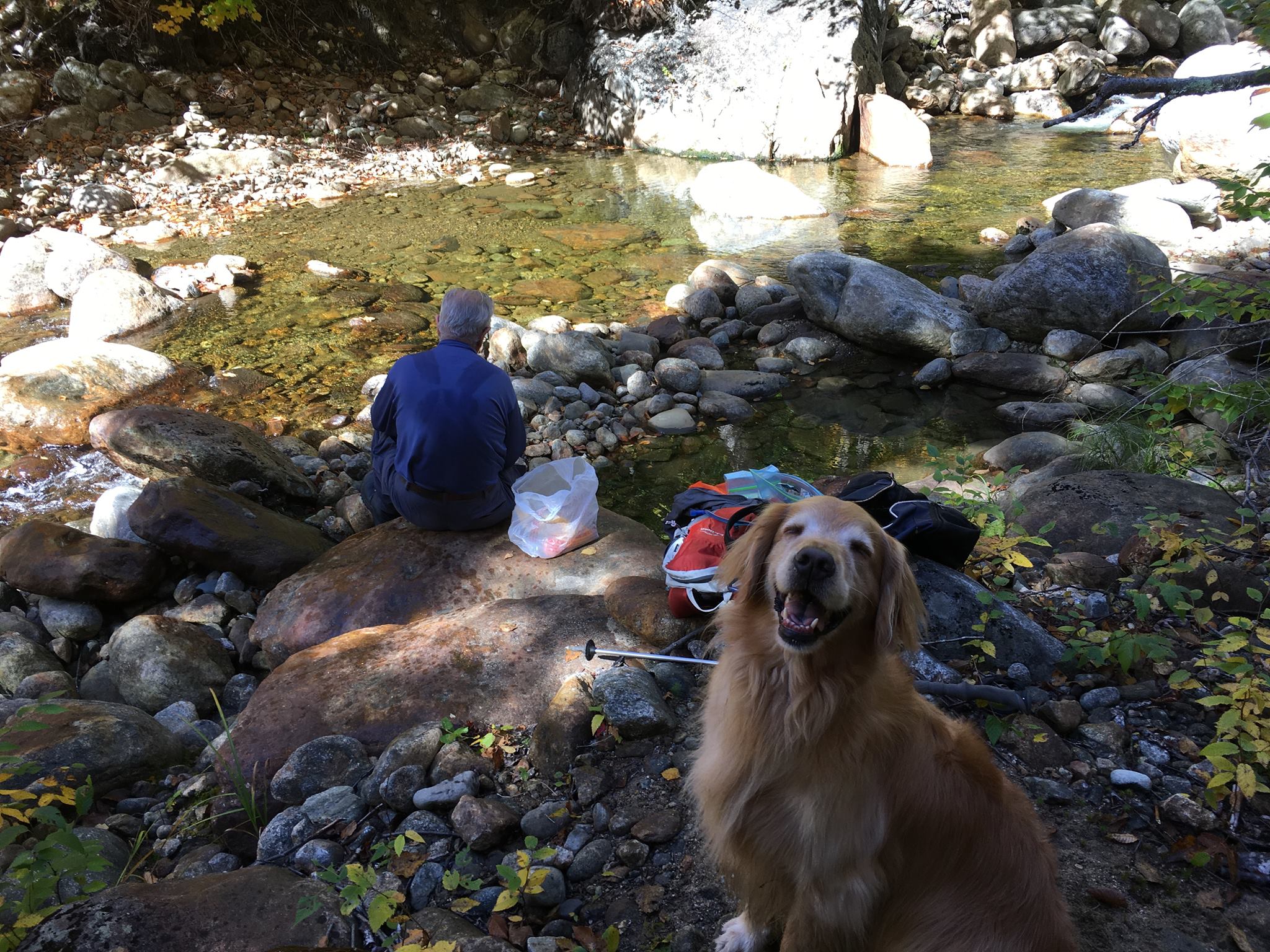 C